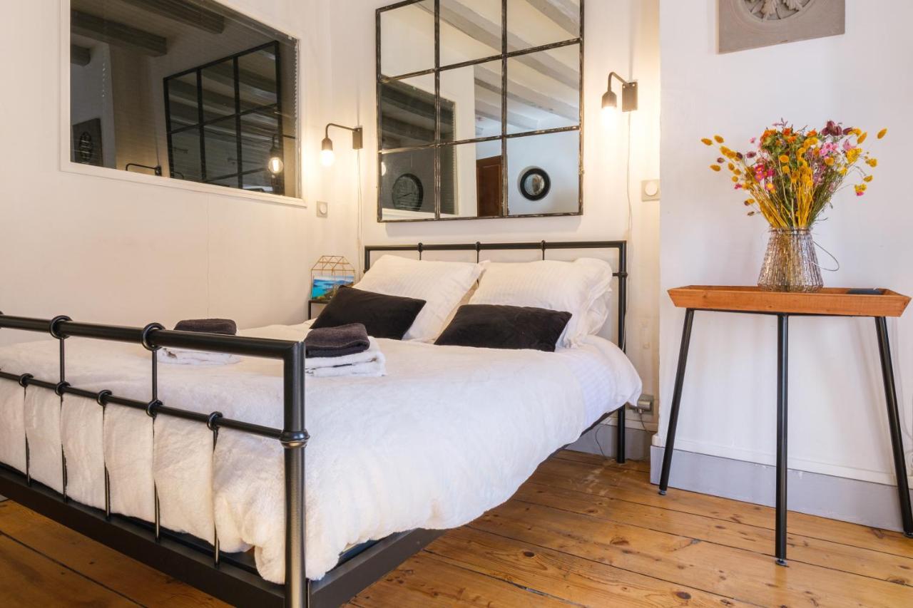 Au Grey D'Annecy, Studio Cosy Au Coeur De La Ville المظهر الخارجي الصورة