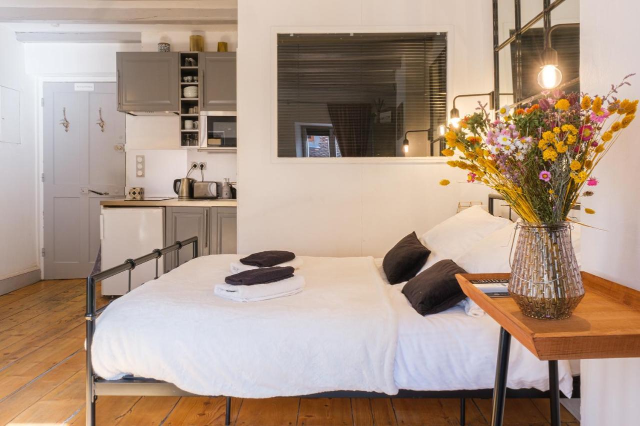 Au Grey D'Annecy, Studio Cosy Au Coeur De La Ville المظهر الخارجي الصورة