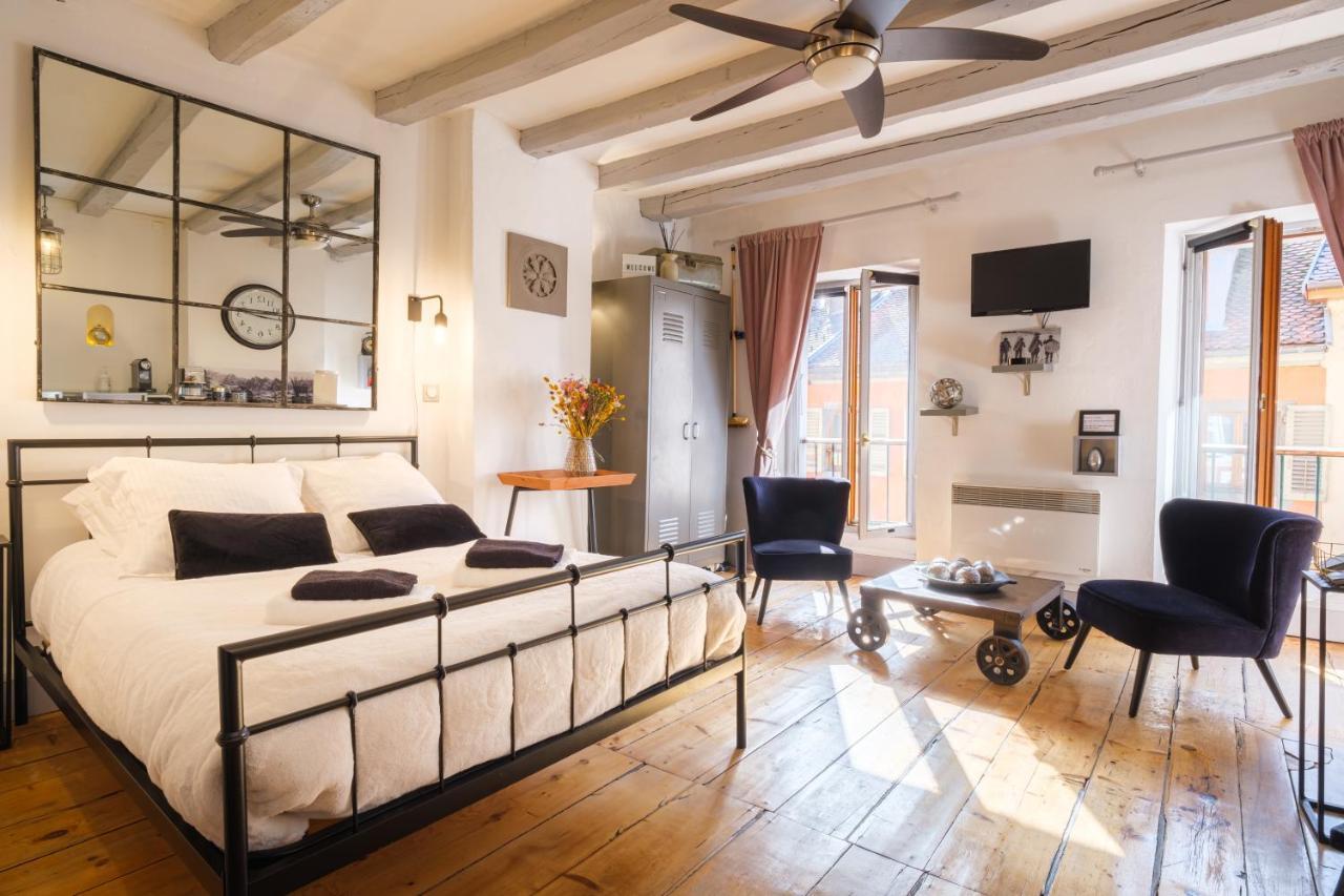 Au Grey D'Annecy, Studio Cosy Au Coeur De La Ville المظهر الخارجي الصورة